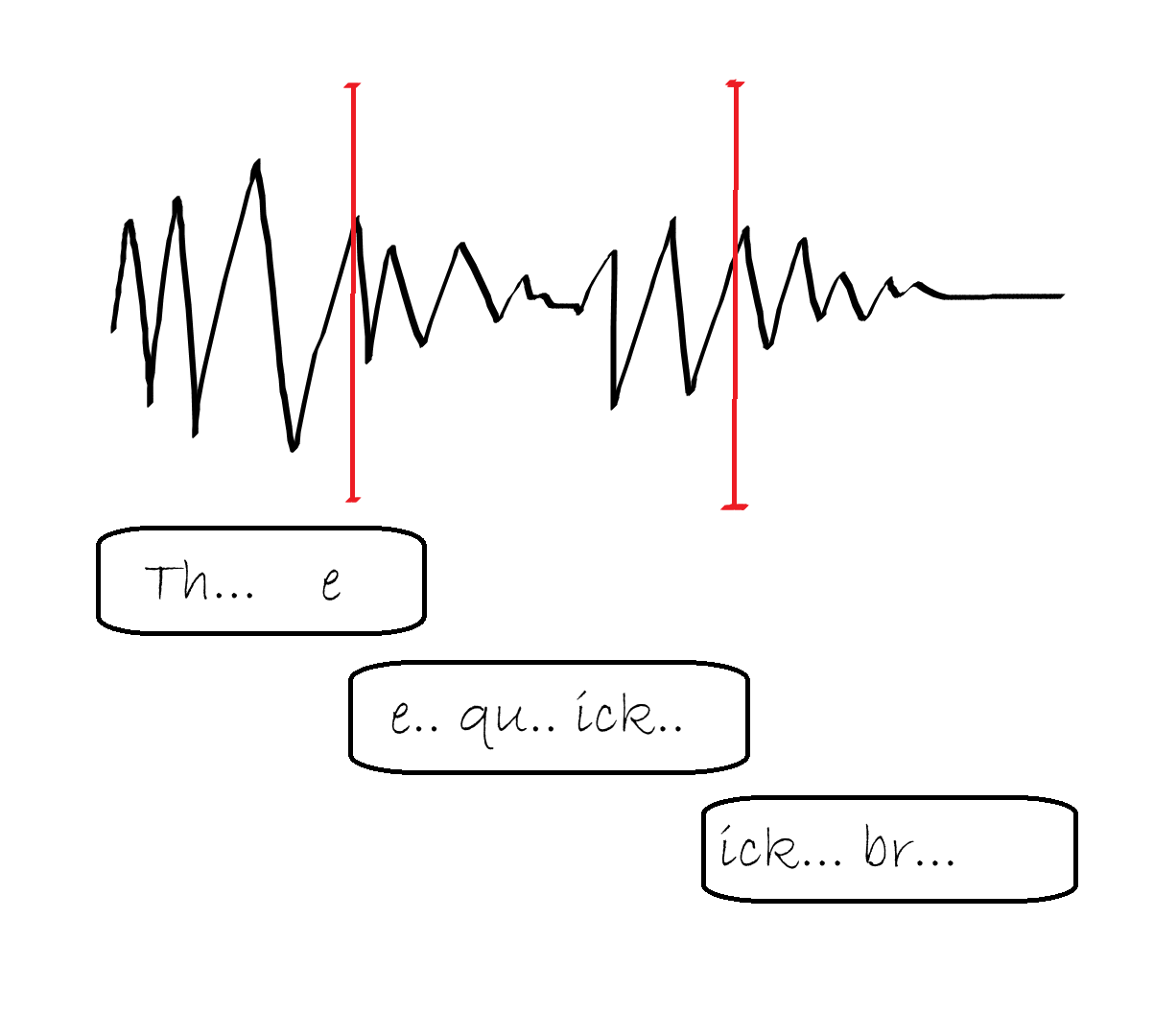 segmentation